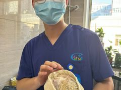 -北京观赏动物医院·24小时大型综合·猫专科·异宠专科