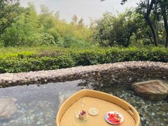 -天目湖涵田半山温泉