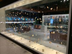 -青岛贝壳博物馆