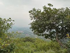 -北京西山国家森林公园