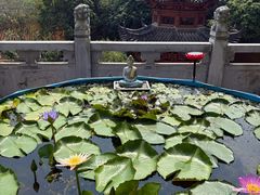 -宝通禅寺