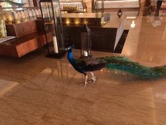 -西双版纳融创皇冠假日度假酒店