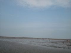 -刘家湾赶海园