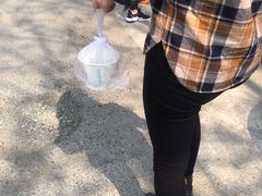 -张醪糟