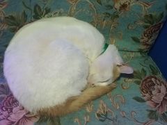 -星宿秘码(鼓浪屿老店)