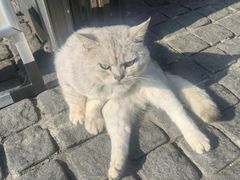 -顺香居·老字号湖北菜(江汉路店)