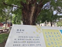 -北京石刻艺术博物馆(五塔寺)