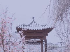 -河间府署
