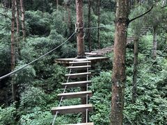 -梦幻奥陶纪景区