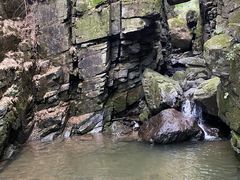 -藏龙百瀑风景区