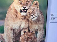 -北京动物园-畅观楼