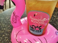 -Flamingo Bloom(TST /尖沙咀店)