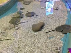 -重庆欢乐海底世界
