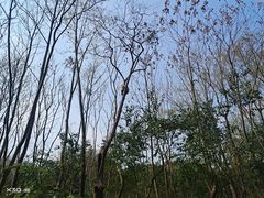 -南昌昌北国际机场