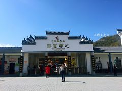 门面-千年银杏谷文化旅游区