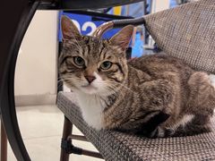 -中田健身工作室(嘉定江桥店)