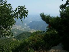 -鲁山国家森林公园