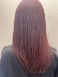 -潘多拉Hairsalon
