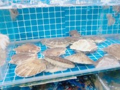 -宾朋海鲜饭庄(兴海路店)