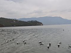 -泸沽湖里格半岛