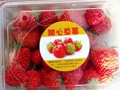 -甜心庄园·甜心草莓采摘园(西青中北店)