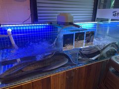 -百年食客韩式烤肉(南三环店)