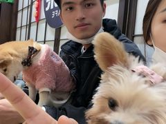 -逗柴咖啡屋·狗咖猫咖宠物桌游
