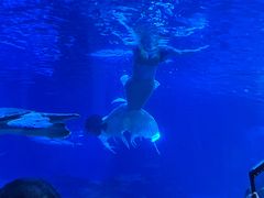 -太平洋海底世界