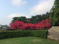 -北京师范大学(珠海校区)