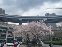 -南浦大桥长途旅游客运站