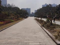 -黄兴公园