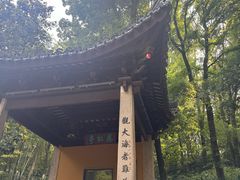 -灵岩山风景区