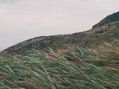 -嵛山岛
