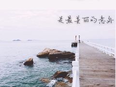 -采粤轩中餐厅(惠州金海湾喜来登度假酒店)