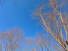 -永定河休闲森林公园