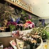 国贸‼️漂亮饭的天花板🔥七夕浪漫约会💕