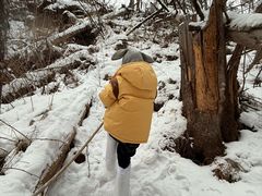 -峡谷浮石林景区
