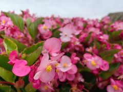 -嘉北郊野公园