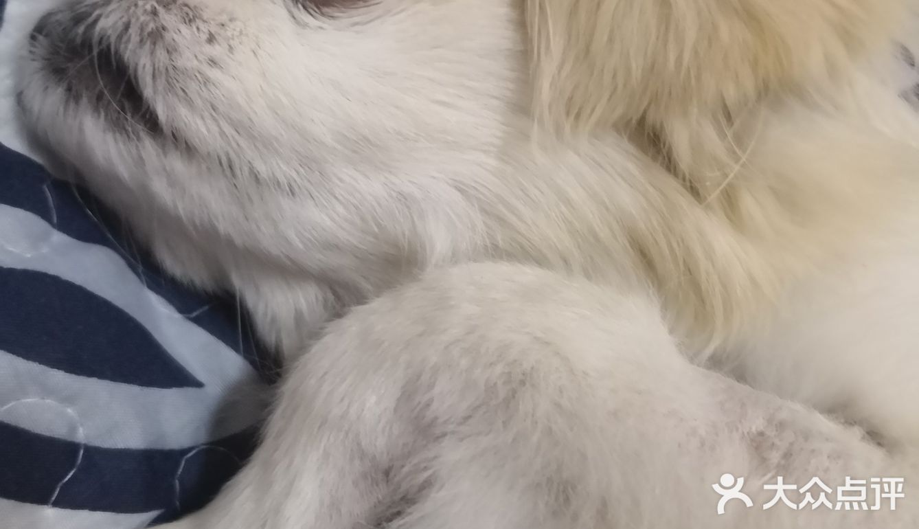 乒小乓,你想姐姐了吗?