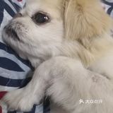 乒小乓,你想姐姐了吗?