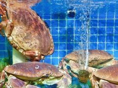 -87号烧烤海鲜·大排档(金沙滩店)