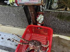-蚝专家(北滘店)