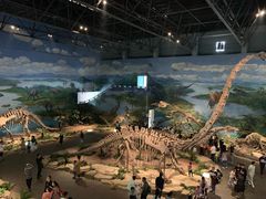-自贡恐龙博物馆