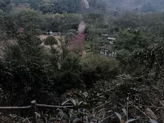 -重庆园博园