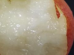 -三亚新鸿港水果一级批发市场