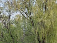 -星巴克(武汉徐东销品茂店)