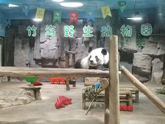 -栾川竹海野生动物园