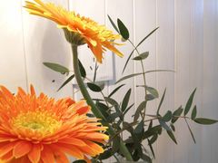 -Jo's Garden