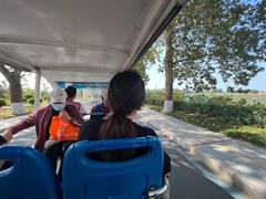 -微山湖红荷湿地景区