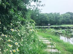 -长广溪湿地公园